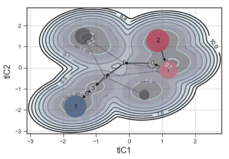 A Markov state model of a disordered loop interacting with the cell membrane