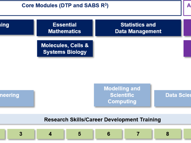 Overview Training Modules in Michaelmas term